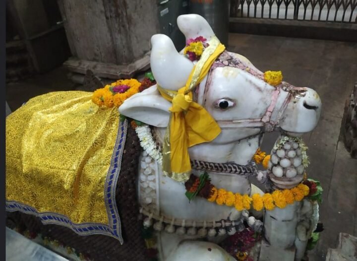 omkareshwar NANDI