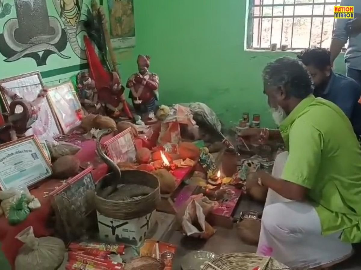 छत्तीसगढ़ के गरियाबंद जिले में ऋषि पंचमी पर जहरीले सांपों की अनूठी शोभायात्रा