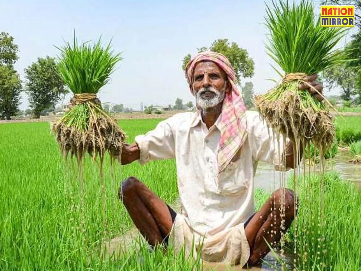 Chhattisgarh Farmers Relief: किसानों को मिलेगा 50-50 हजार टन अतिरिक्त DAP और यूरिया