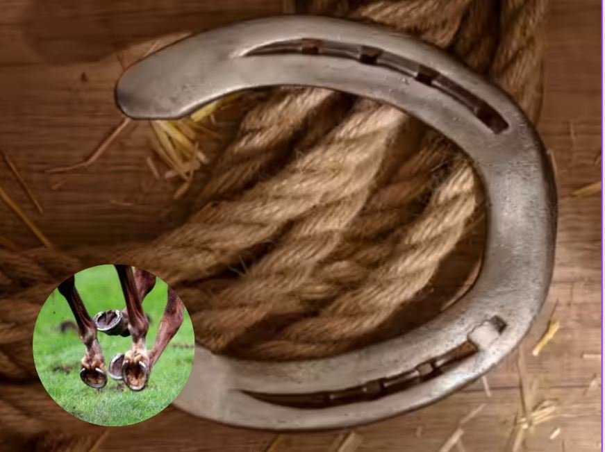 Rules for Wearing a Horseshoe Ring