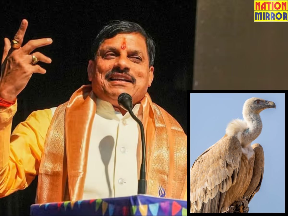 मुख्यमंत्री डॉ. मोहन यादव रायसेन के हलाली वनक्षेत्र में छोड़ेंगे GPS टैग गिद्ध