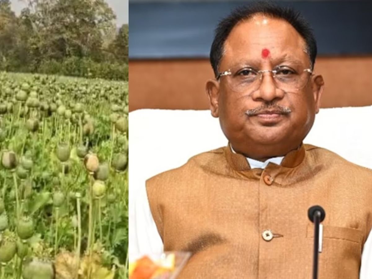 अफीम की खेती को लेकर सीएम साय सख्त
